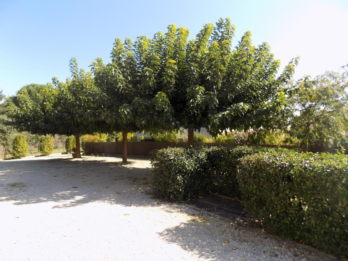 B&B La Vieille Source Saint-Martin-dʼArdèche Extérieur photo